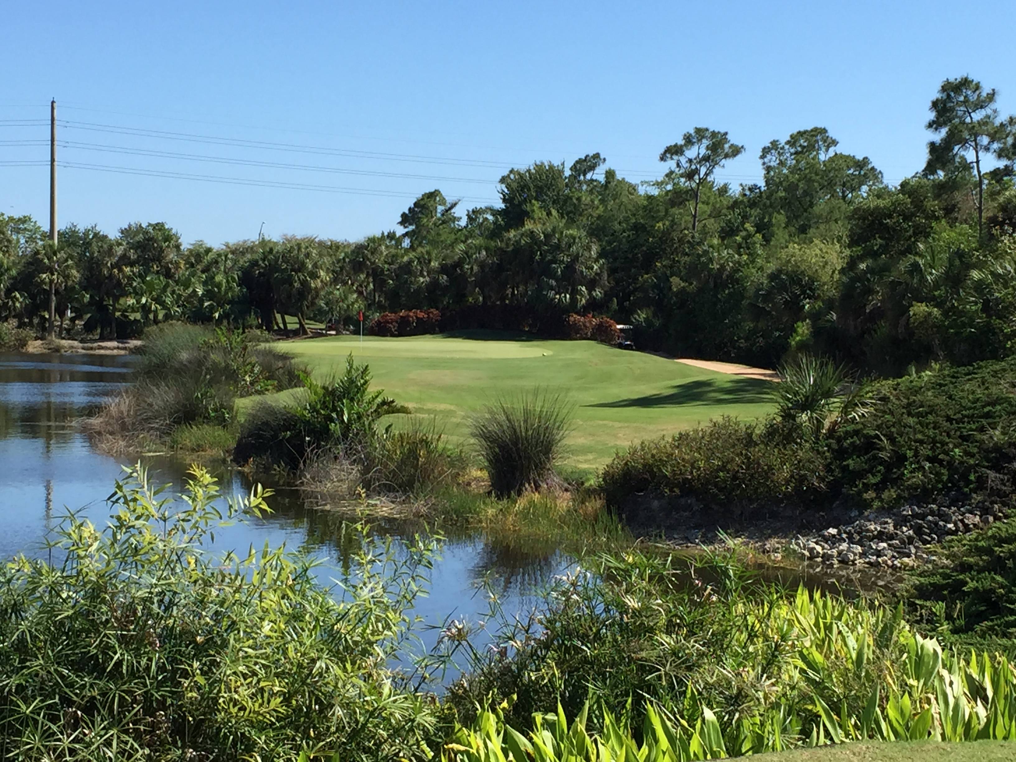 Grey Oaks Homes for Sale in Naples Florida